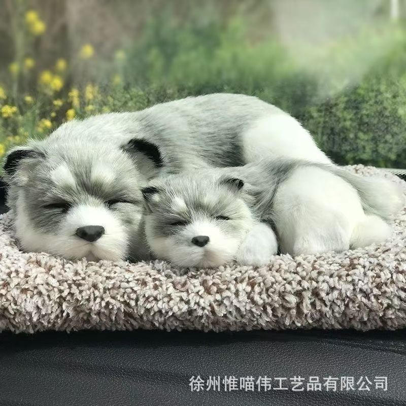 Madre-hijo Husky frente a la cama + grasa