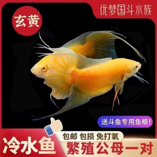 �Ї����~���S�S���~��ˮ��ˮ�^�p�~�����~�������Ӝ��ܻ��B