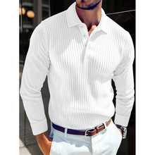 2025�羳�¿�R�d�W����ʿT��ᘿ����I�̄ռ~�������L��Polo��