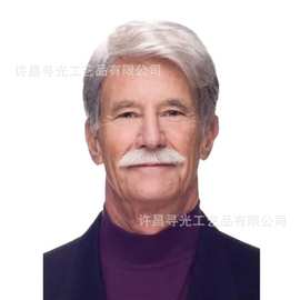 temu希音男士假发银白色中老年短发化纤头套跨境男士假发轻盈