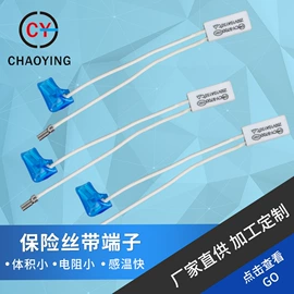 保护器件;温度保险丝;温湿度控制器