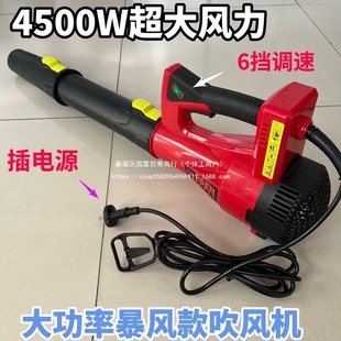4500W220V Household Lighting Electric High-Power Industrial-Grade Satchel High-Wind Dust Removal Blower Hair Dryer
