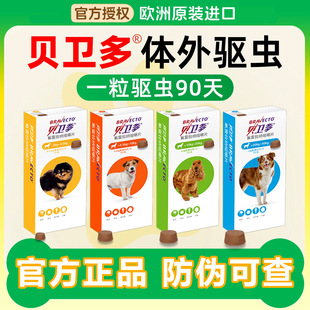 ؐ�l�๷���w����xș��x����С�д���Ȯ����Ȯʭ�������\�xȮ��