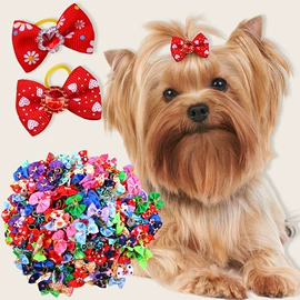 狗狗窝/笼/垫;宠物帽子;宠物项圈