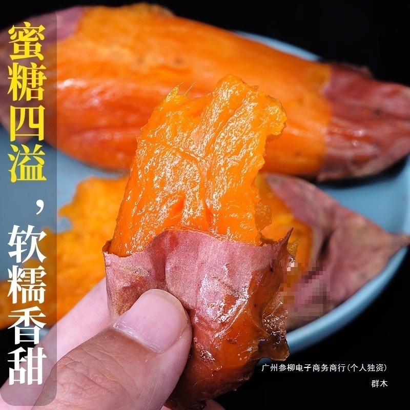 山东烟薯号蜜薯农家沙地烤地瓜糖心红心榴莲番薯农科院山芋一级|undefined