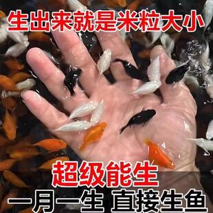 ��ɫ������ ��ţ������Ƥ���~ ̥���~ ֱ����С�~ С�͟Ꭷ�~���w