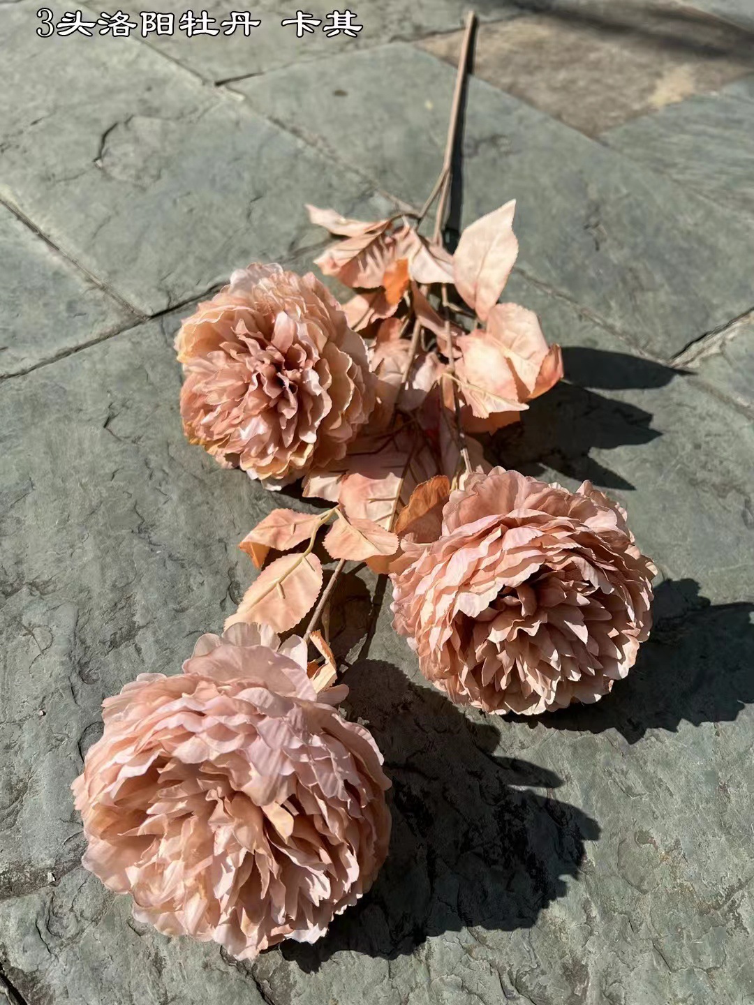 微信图片_20241004181516