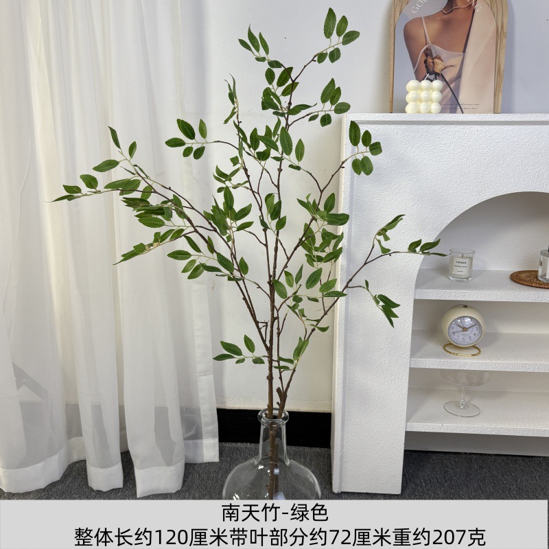 난디나