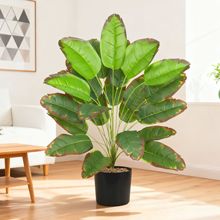 ����Gֲ�t߅�Ž��~���˽��Ҿ��b٘��̈��Ƶ�����b��쾰�羳