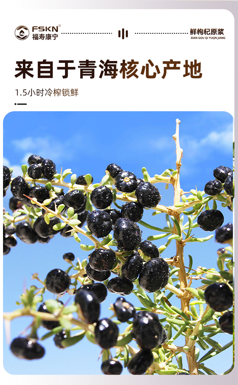 Black Goji Berry NFC Fresh Juice Concentrate 500ml Bottle 10 x 50ml Anthocyanin Rich key features