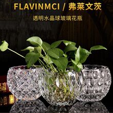 创意绿萝水培植物透明玻璃花瓶家用客厅家装饰品水养插花器皿摆件