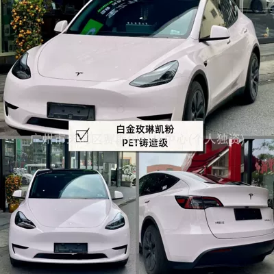 Metal Series Car Wrap Installation, Auto Color Change Film - platinum-mary-kay-powder-152m-x-1m