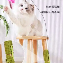 ؈���W�����Ƚ�W��ë�N��؈��߹��z����ǓϰW��Ʒ��ȫ