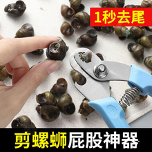 ����·ƨ�ɲ��������ݽzʡ���Q����ʯ��������ȥβ���P�