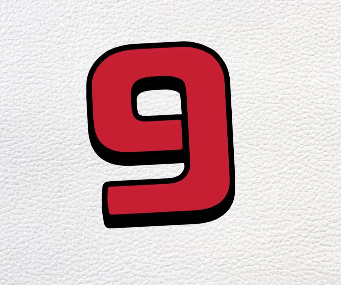 9. 블로거가 Ga 레드와 화이트(스웨이드)를 추천합니다.