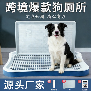 �羳�����������С������Ȯƽ�厧��̩�ϾW�񹷎����S��ֱ�N