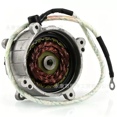 Alovlanma bobini (Babinalar) Two-Stroke 49Cc Engine Starter
