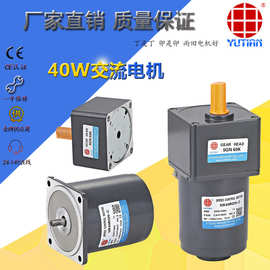 40W单相可逆式减速电机5RK40RGN-A/5GN250K阻尼减速马达40瓦电机