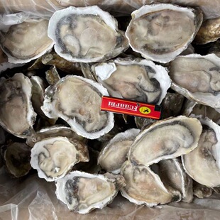 �뚤�r��ɽ�|���ĵϠ ���������뚤��� �ɶ������ؔ�����ʳ��