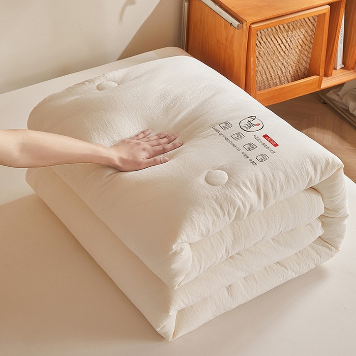 Washable 100% Cotton Antibacterial Summer Winter Spring and Autumn Quilt Cover Filler Four Seasons Universal Air Conditioner Blanket for Double Bed Student Gift