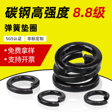 ��ɫ8.8���ߏ��ȏ��|Ƭm2~m36 �ݽz���ɉ|Ȧ 8��̼䓏��ɉ|Ƭ�S��