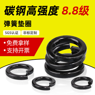 ��ɫ8.8���ߏ��ȏ��|Ƭm2~m36 �ݽz���ɉ|Ȧ 8��̼䓏��ɉ|Ƭ�S��