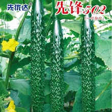 ���l���h502�S�ϷN����Ƥ�Gȿ�������S�ϷN��һ�~һ���r���׷N��