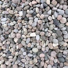 电厂水过滤用砾石滤料 自来水厂用鹅卵石滤料 化工厂用承托层滤料