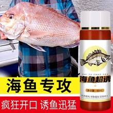 海钓小药海钓小药腥味香精海钓黑鲷饵料鲈鱼假饵鲻鱼厂家批发