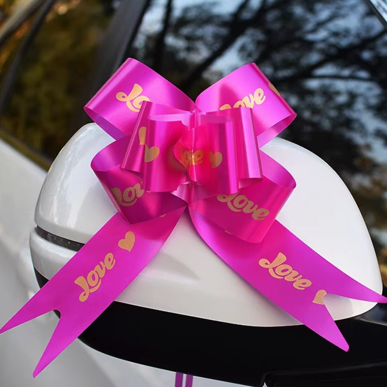 2026 festivales arco de plástico mano de dibujo flores de bodas del Festival de Primavera regalos de fiesta de cumpleaños decoración interior dibujo flores