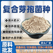 复合枯草芽孢杆菌 农业水产养殖 厂家供应 枯草芽孢杆菌有机