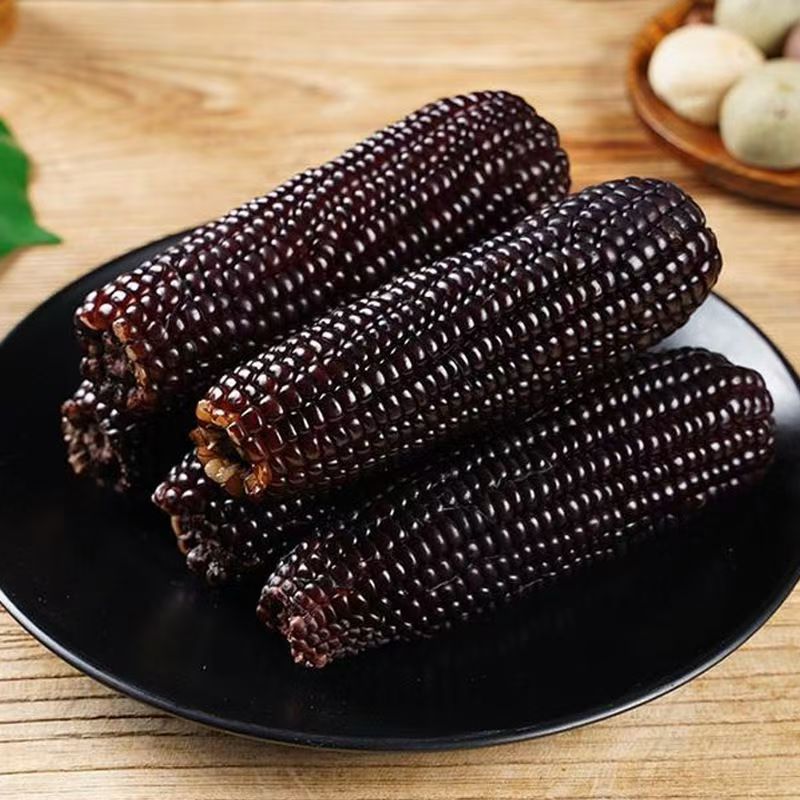 新鲜有机紫黑糯玉米香甜糯苞米早餐真空包装即食代餐批发代发