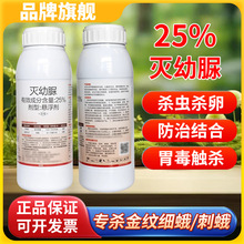 ���o��25�������rș���Ҙ�ʳ�̶�׶�����x���~�꽪�������x��