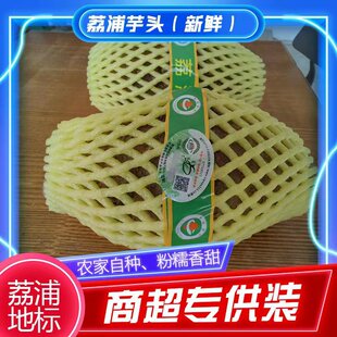 ���ִ����^��Ŵ����ɿڷNֲ����ֱ�����l�̳����x��Ʒ����