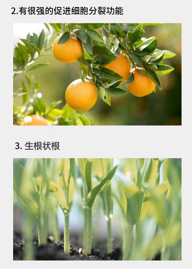 O1CN01bYIKx61MtNaXElc9y_!!9334