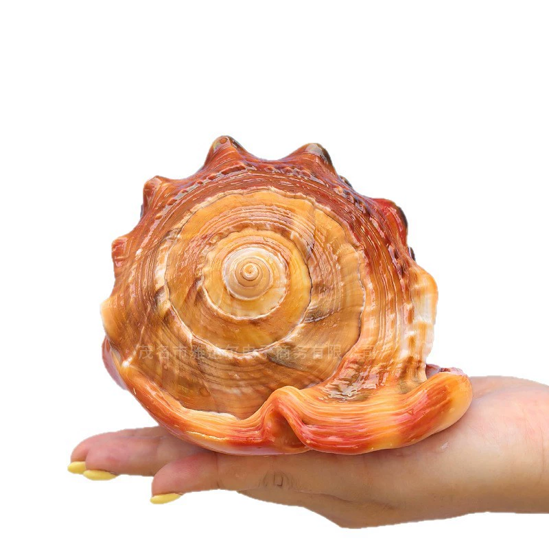Organic big aquarium decor, decorations, Birthday gift
