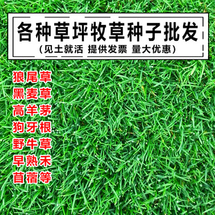 ��ƺ�N���ļ���������ݹ����������ͥԺ�o�¾G����Ƥ�ݷN��