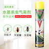 Family insecticidal spray indoor mosquito repellent flies killing cockroach hotel pesticides and fog fog restaurants