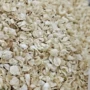 花之都南宁广西茉莉茉莉