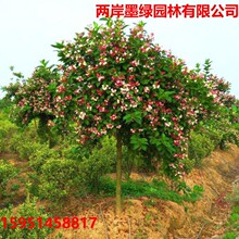 ͥԺ�G����N�t�����\�����绨�~�\������\���������\����������