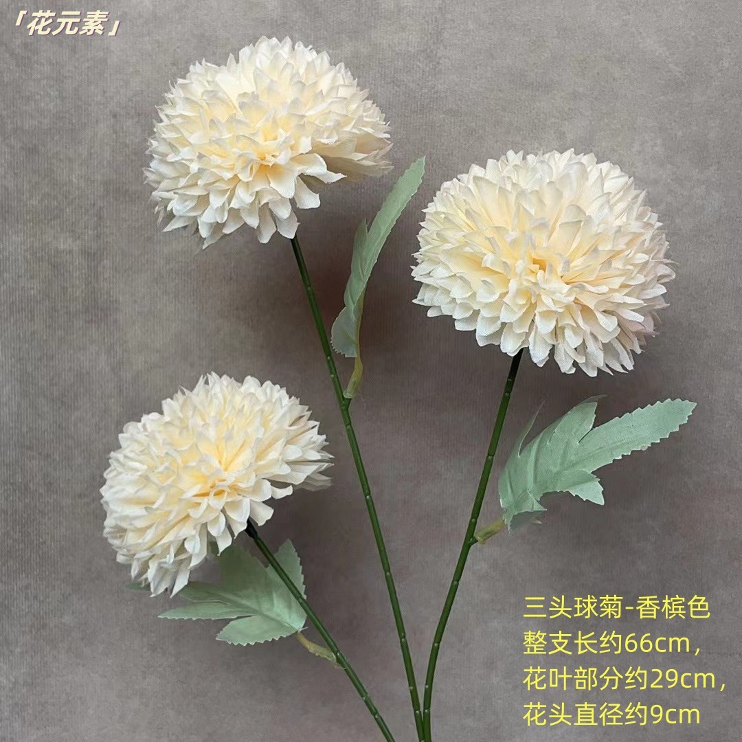 샴페인