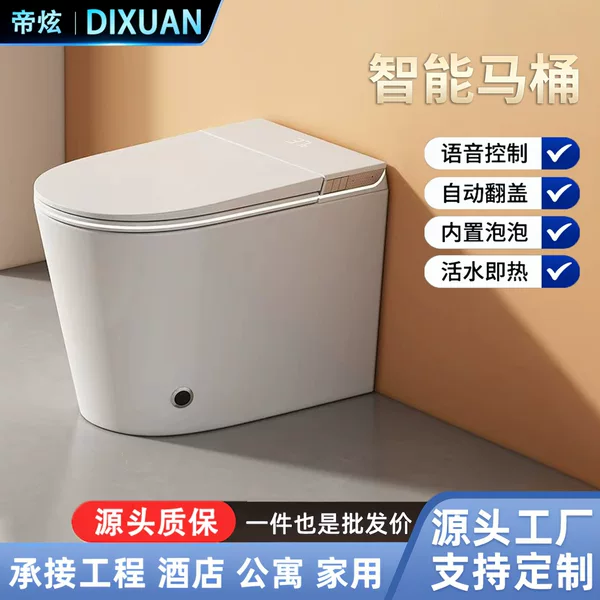 Dixuan 58cm Smart Toilet with Built-In Foam Shield, Small Size, Household Use, Sterilization, Instant Heating, Smart Toilet