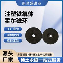 电机多极注塑磁磁环 电机感应器磁铁配件霍尔传感器编码器磁铁