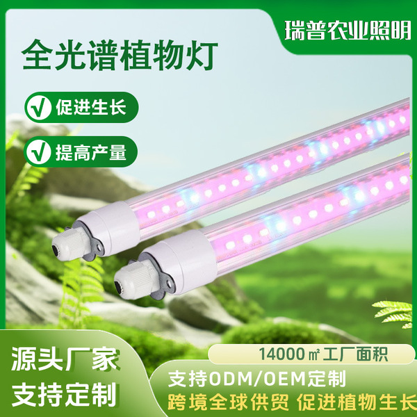 LED plant lamp