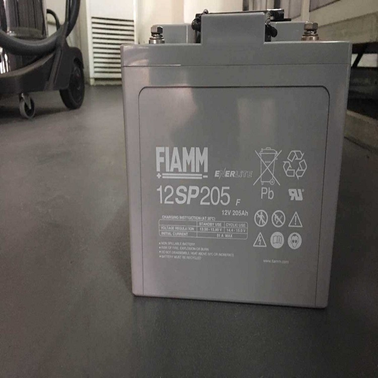 原装非凡蓄电池12SP205阀控式免维护储能蓄电池12V205ah 含税运