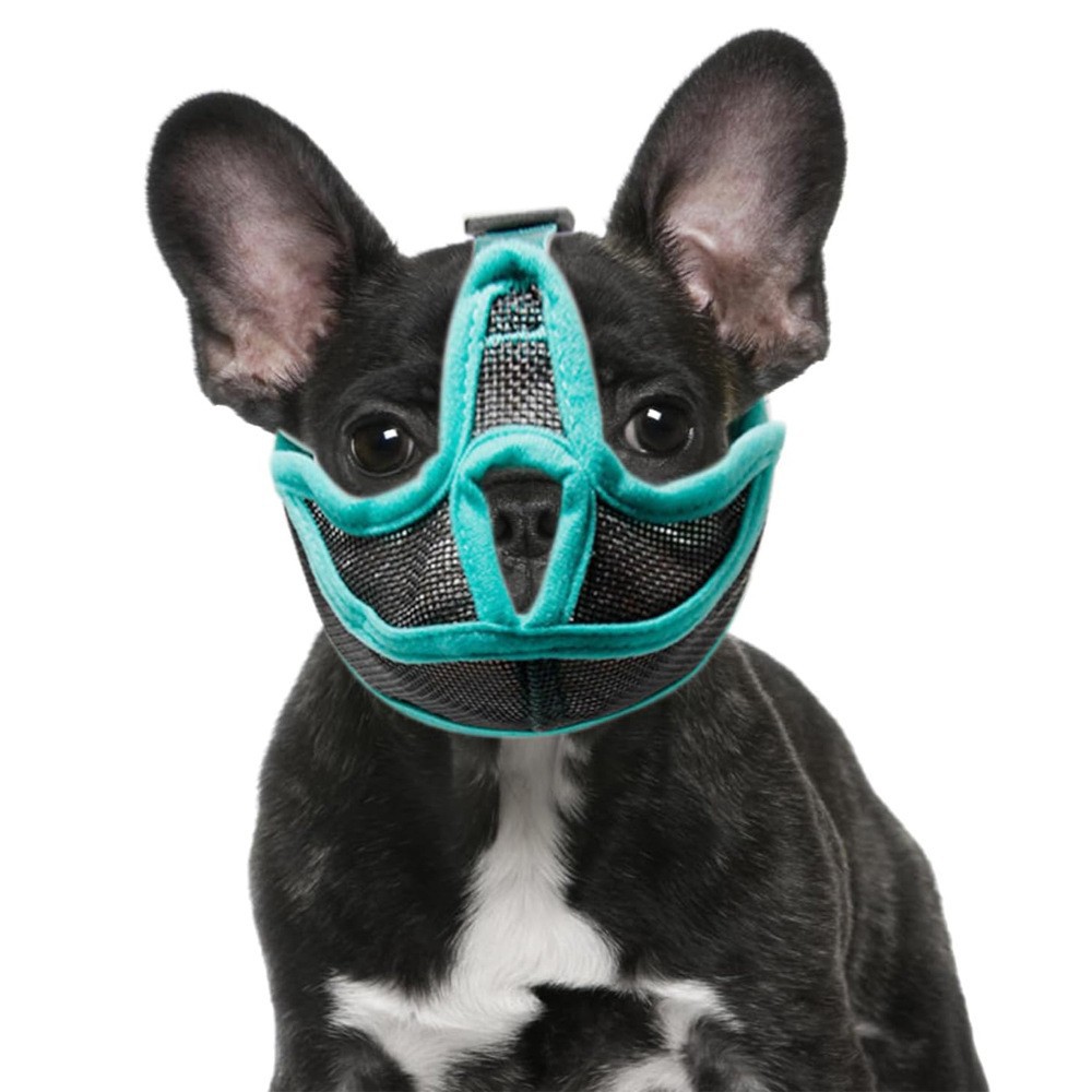 Cubierta de boca de perro ajustable respirable malla máscara anti-morte de perro masticable suave ladrido entrenamiento cosmético artículos de mascotas image 7