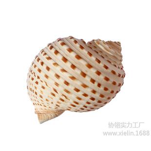�M�~���]��Ȼ������ؐ�����c�����~�׾�ؐ�~��ֳ�����⻨��[��