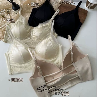 黛美芮森色系2501女士法式性感蕾丝V领固定杯缎面美背裹胸抹胸后