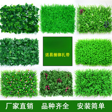 ¡ֲGֲƺƤ͏dϼٻT^̨b