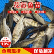 �����~����I�~�����^�~����^�~�����~���w��ˮʳ���Bֳ�����ش�